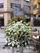 https://hk1.topkeeoss.com:9000/800304744366215168-public/帛事花籃/K013-1-3500.jpeg.webp