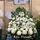 https://hk1.topkeeoss.com:9000/800304744366215168-public/WhatsApp Image 2026-07-22 at 8.25.41 AM2.jpeg.webp